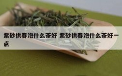 紫砂供春泡什么茶好 紫砂供春泡什么茶好一点