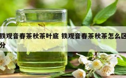 铁观音春茶秋茶叶底 铁观音春茶秋茶怎么区分