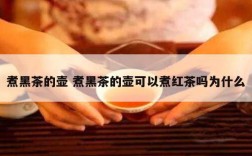 煮黑茶的壶 煮黑茶的壶可以煮红茶吗为什么