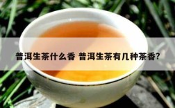 普洱生茶什么香 普洱生茶有几种茶香?