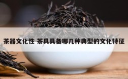 茶器文化性 茶具具备哪几种典型的文化特征