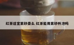 红茶适宜紫砂壶么 红茶能用紫砂杯泡吗