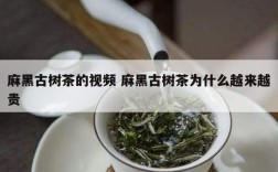 麻黑古树茶的视频 麻黑古树茶为什么越来越贵