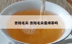 杏阳毛尖 杏阳毛尖是绿茶吗