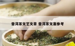 普洱茶文艺文章 普洱茶文案参考