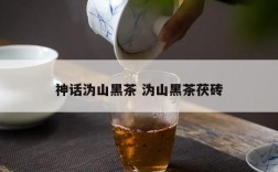 神话沩山黑茶 沩山黑茶茯砖