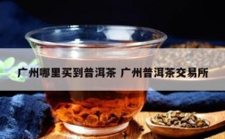 广州哪里买到普洱茶 广州普洱茶交易所