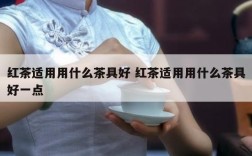 红茶适用用什么茶具好 红茶适用用什么茶具好一点