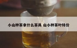 小山种茶拿什么茶具 山小种茶叶特价