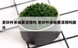 紫砂杯茶垢要清理吗 紫砂杯茶垢要清理吗图片