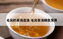 毛尖的茶汤混浊 毛尖茶汤颜色发黄