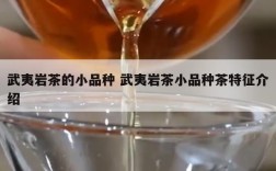 武夷岩茶的小品种 武夷岩茶小品种茶特征介绍